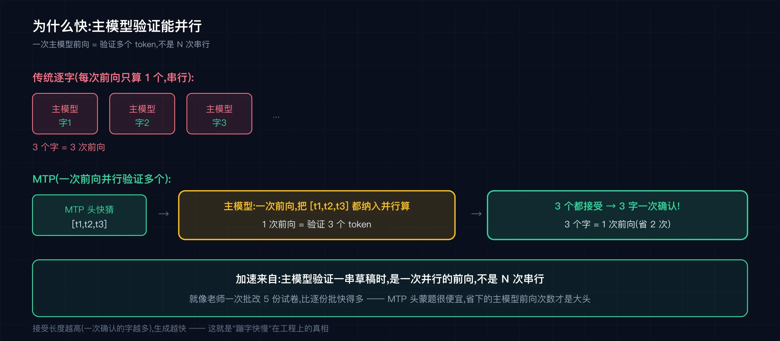 加速来自并行:一次主模型前向 = 验证多个 token