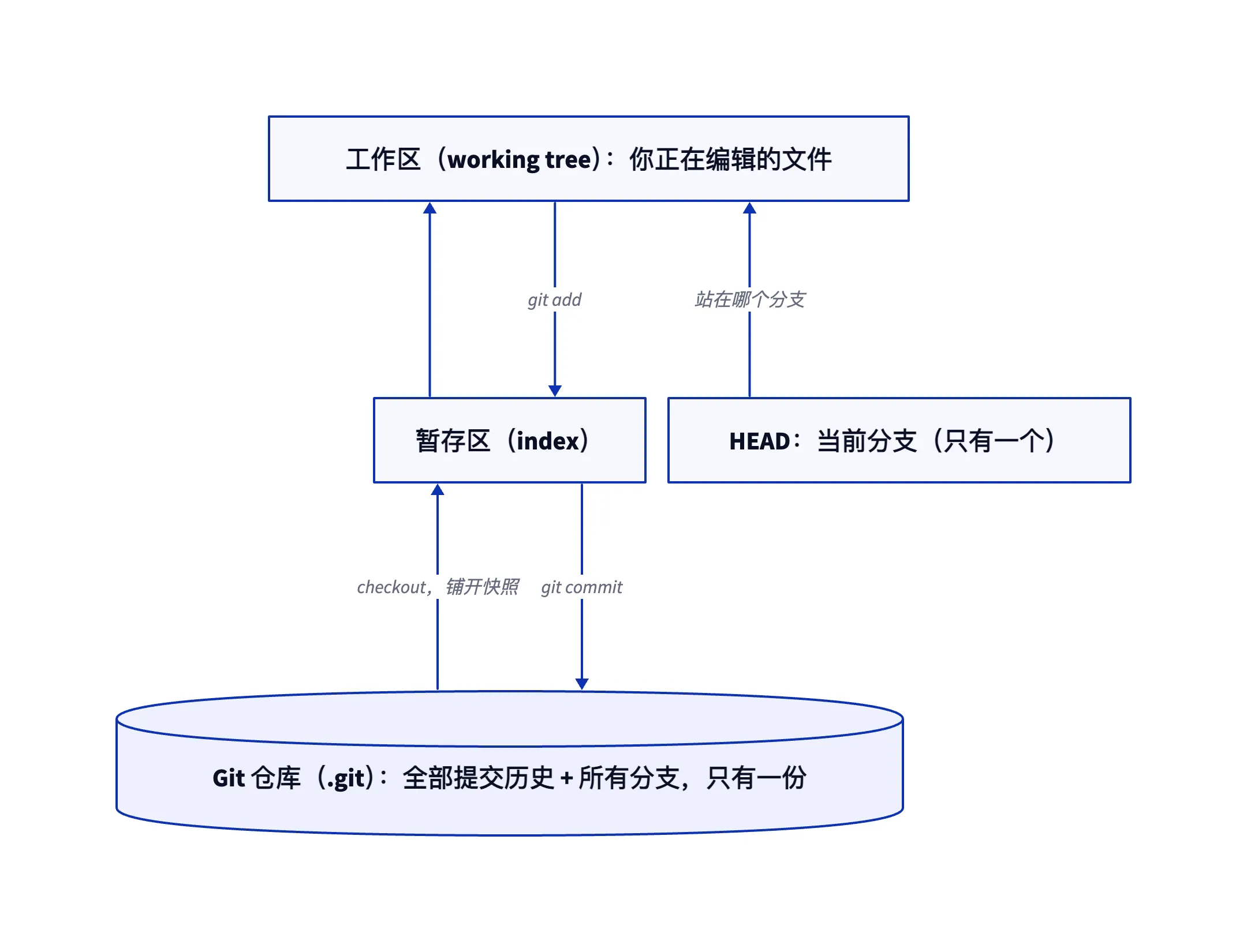 Git 仓库三层结构：.git 存全部历史与分支，checkout 把快照铺进暂存区和工作区，HEAD 标记当前分支