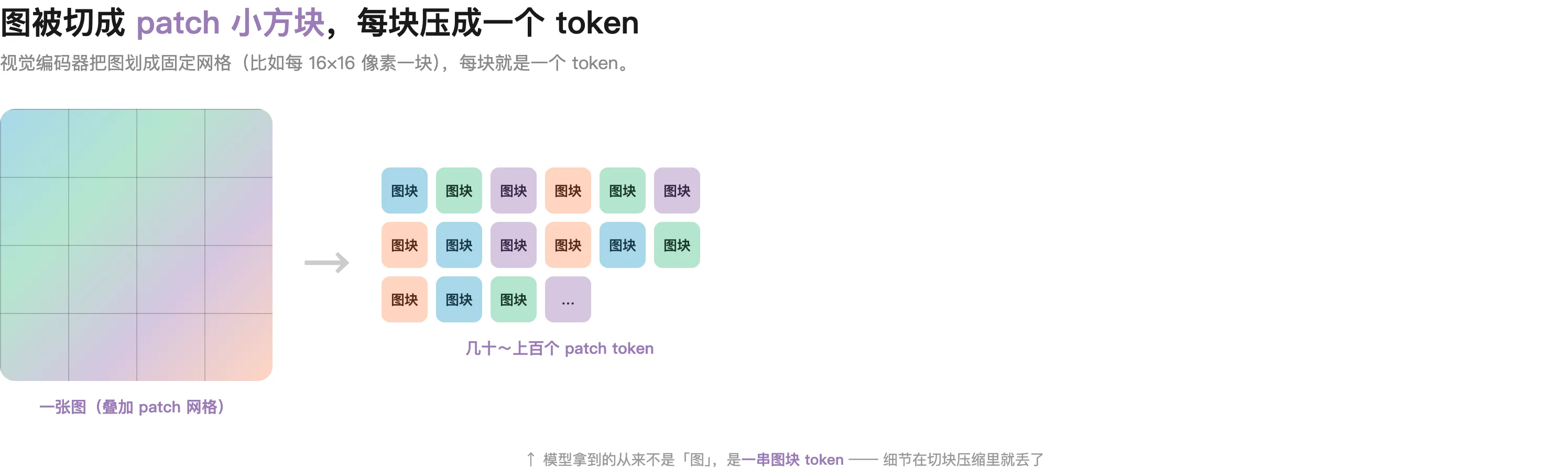 视觉编码器把图切成 patch 网格:每 16×16 像素一块,每块压成一个 token